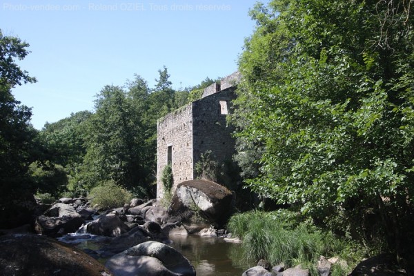 moulin-vallee-de-l-yon-IMG_9619